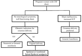 Anesthetic Considerations For Labor And Delivery In Women With Cerebrospinal Fluid Shunts International Journal Of Obstetric Anesthesia