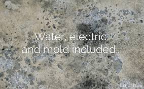 Protect against tenant mold health injury and. Georgia Mold Laws Lawsuits Can I Sue My Landlord