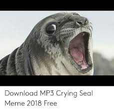 100 xbox gamerpics 1080x1080 meme yasminroohi xbox one custom gamerpics anime pt 2 album on imgur cool xbox gamerpics fortnite fortnite aimbot kaufen download free gamerpics xbox. 25 Best Memes About Crying Seal Meme Crying Seal Memes