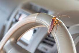 Heres How To Get Rid Of Roaches In Your Car We Cover Roach Bombs And Other Simpler Methods If You Have A Roach Infested Car Keep Roaches Car Best Car Seats
