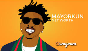 Zlatan ibrahimovic netto värde och lön: Mayorkun Net Worth Biography Owogram