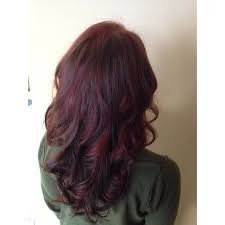 Burgundy And Chocolate Brown Panels Throughout The Whole Head Burgundy Hair Hair Hair Inspiration