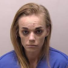 Couple arrested for thefts involving several northern Michigan areas