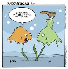 Pin On Crc Btec Unit 5 Evolution