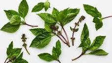 What is Thai Basil, the Spicy, Anise-y Herb That's a Vital ...