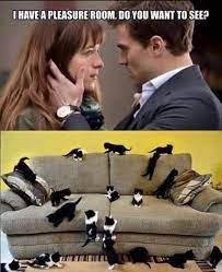I Have A Pleasure Room Is An Exploitable Meme Featuring A Screenshot From The 2015 Film Fifty Shades Of Grey Funnyme Crazy Funny Memes Best Funny Jokes Memes