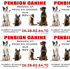 Pension Canine Florent Plomion
