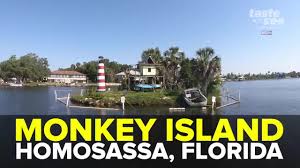 Riverside resort in richmond reservieren. Monkey Island In Homosassa Is One Unique Tourist Destination
