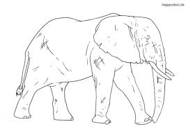 Ausmalbild Elefant Kostenlos Malvorlage Elefant