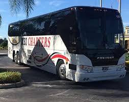 Image result for Maerua bussei