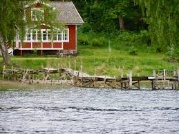 Sie gedeiht in mischwäldern in höhenlagen von 500 bis 1500 metern in den chinesischen provinzen anhui, fujian, gansu, guizhou, henan, hubei, hunan, jiangsu, südlichen shaanxi, südlichen shanxi, sichuan sowie zhejiang. Schweden Segelwind Ch