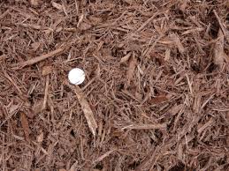 It's not heat treated so it allows the mulch to absorb and retain moisture which provides humidity to your tank. Pin On Mulch