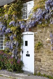 Flowering climbers in particular make a really attractive feature in any garden. Get Attached To Climbing Vines Wsj