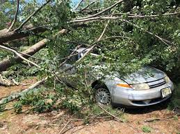 New Jersey Got Literally Whacked Isaias Ranks As Fourth Worst Storm For Power Outages In South Jersey Local News Pressofatlanticcity Com