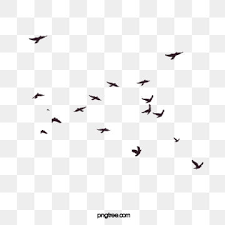 Burung coklat, ikon burung, burung, hewan, burung penyanyi, fauna png. Gambar Burung Png Vektor Psd Dan Untuk Muat Turun Percuma Pngtree