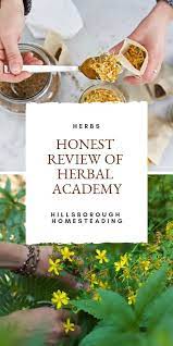 My Honest Review Of Herbal Academys Introductory Herbalism Course Herbalism Herbal Education Cold Home Remedies