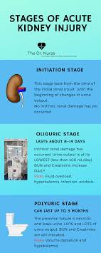 Click Through To Access The Downloadable Version Of This Infographic Covering The Stages Of Acute Kid Pathophysiology Nursing Nursing Mnemonics Medical Careers