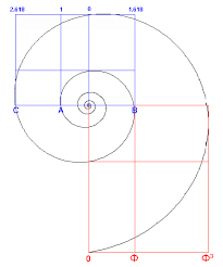The Nautilus Shell Spiral As A Golden Spiral Geometric Drawing Golden Spiral Fibonacci Art