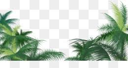 Please wait while your url is generating. Palm Tree Png Palm Tree Silhouette Palm Tree Leaf Palm Tree Vector Palm Tree Beach Black Palm Tree Palm Tree Black Palm Tree Outline Sunset Palm Tree Palm Tree Stencil Blue
