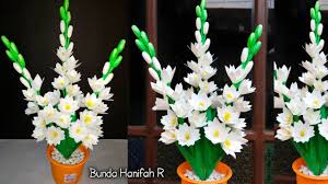 Menanam bunga krokot ini mungkin belum terlalu populer bagi sebagian besar masyarakat di indonesia. Bunga Panosundaki Pin
