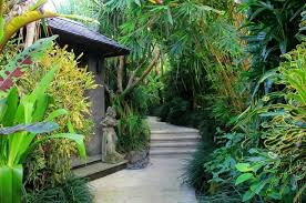 Tropischer Garten Garten Tropischer Small Tropical Gardens Tropical Garden Landscape Design