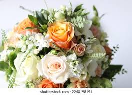 Photo & Image Portfolio by Martin Cairns