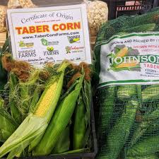 Taber Police Arrest Youths Following Alleged Armed Robbery Of Corn Stand |  Ctv News