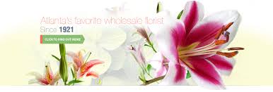 Simply shop from our new best selling flowers catalogue, featuring great products, fantastic pricing and fast, same day best selling flowers for delivery. Halls Atlanta Wholesale Florist