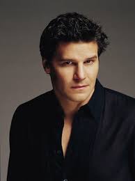 The Many Lives of Xander Harris