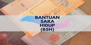 If you want to know more about bantuan sara hidup rakyat: Panduan Lengkap Memohon Bantuan Sara Hidup Bsh Ontrenz