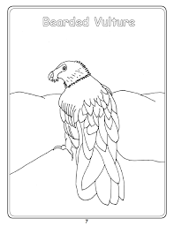 Scientists have experimented with feeding them a variety of bacteria directly, and as a result, the stomach acid has destroyed the bacteria's dna directly. Bearded Vulture Vulpro Kids Corner