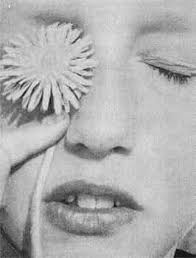 Amazon.com: OK, NO RESPONSE: 9781936611201: Stern, Aaron, Helton, Lucy,  Brenner, Juan, Cairns, Antony, Cass, Madeline, Cooper, Jerald, Everett, ...