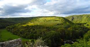 Es werden ausschließlich artikel zu naturschutzgebieten eingeordnet (z. Schuleraustausch In Tschechien Austauschjahr De