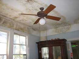 Repairing ceiling water damage, whether it is the result of a broken pipe or torrential rainfall, is the very first thing to do is to stop the water from leaking, otherwise all your repair work will come to no good. Ceiling Repair And Water Damage Here S What You Should Do Interior Designs Hub