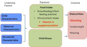 We did not find results for: Immediate And Underlying Causes Of Malnutrition Among Children In Download Scientific Diagram