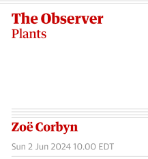 Image result for Coptosperma rhodesiacum