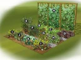 Small Vegetable Garden Ideas 300x225 How To Make A Small Vegetable Garden Summer Vegetables Garden Garden Layout Vegetable Vegetable Garden Planning