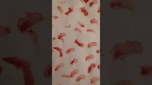 Image result for Revelation 12 Holy Grail Lapointe