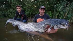 We did not find results for: Meerval Van 2 27 Meter Gevangen Na Strijd Van 20 Minuten Nos