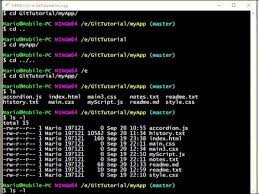 Screenshot of gh pr status. Git Bash Bash Basics Youtube