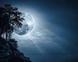 Immagine di Raggio di luna notturno
