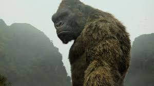 You can also download full movies from showboxmovies and watch it later if you want. Kong Skull Island Review Movie Empire