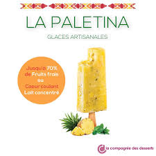 Nouvelle Gamme De Glaces La Paletina Glace Glace Artisanale Lait Concentre