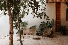 Image result for Galopina