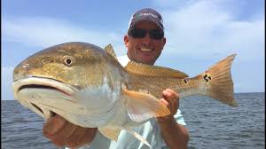 We did not find results for: Massive Pb Redfish Catch Clean Cook Redhot Red Drum Venice La Youtube