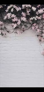 Maybe you would like to learn more about one of these? Ù…Ø·Ø± Rain ÙØªÙˆÙ‡Ø§ ØµÙˆØ± Ø®Ø±Ø¬ Ø®Ù„ÙÙŠØ§Øª Facebook