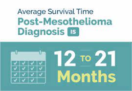 Read more to get a better sense of what to expect. Mesothelioma Survival Rates Patient Survival And Outcomes