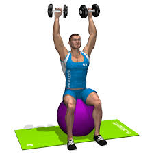 Stability Ball Dumbbells Shoulder Press Involved Muscles During The Training Shoulders Dumbbell Shoulder Press Shoulder Workout Workout Chart