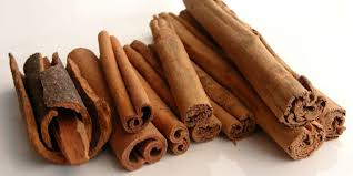 Image result for tanaman kayu manis