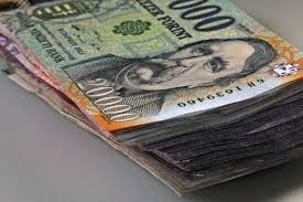 pénz, forint,